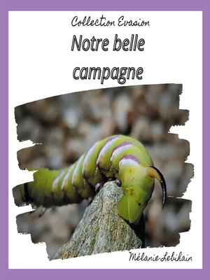 cover image of Notre belle campagne